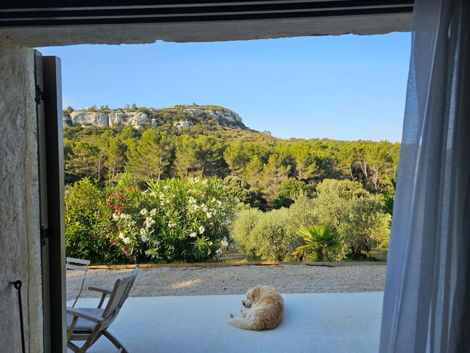 Bed and Breakfast Mas De La Fadeto Baux-de-Provence Zewnętrze zdjęcie